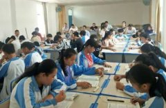 不断优化使标准化教学体系日益完善二者相辅相成
